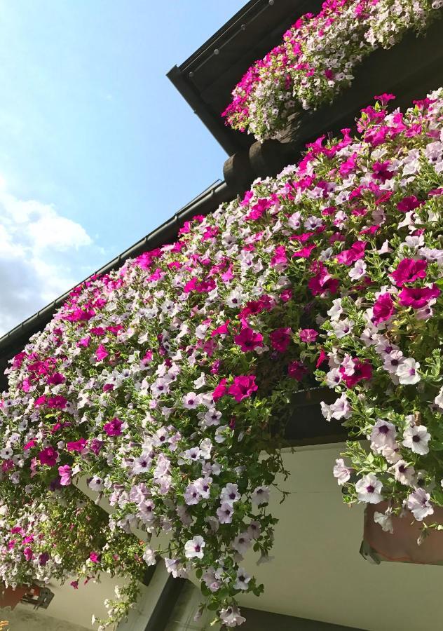Gaestehaus Immenhof โอเบอร์สทดอร์ฟ ภายนอก รูปภาพ